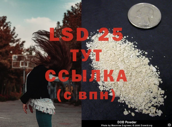 индика Туринск