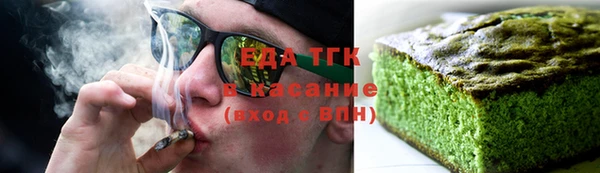 индика Туринск