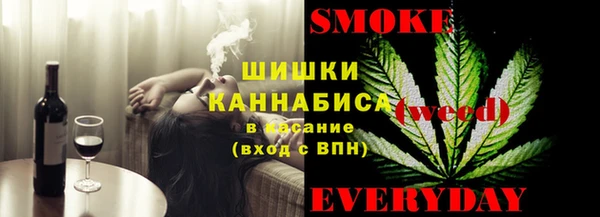 индика Туринск