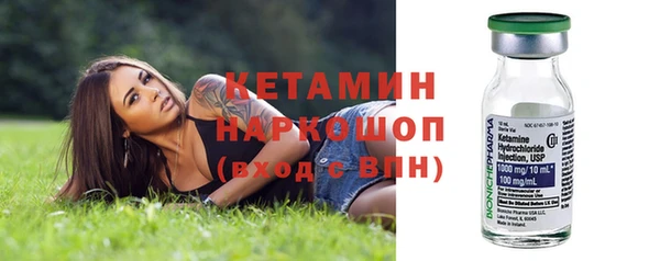индика Туринск