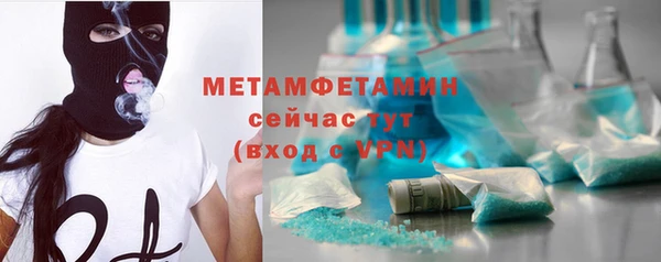 индика Туринск