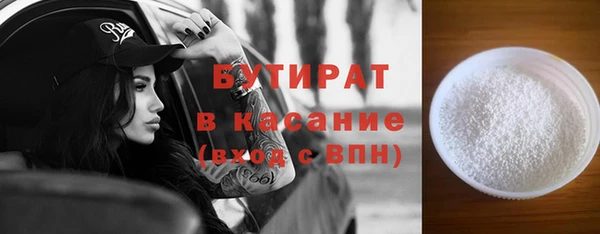 индика Туринск