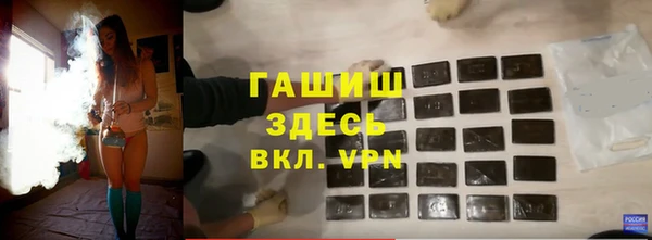 индика Туринск
