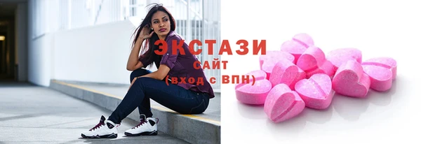 индика Туринск
