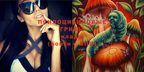 индика Туринск