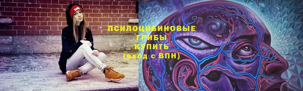 прущая мука Медвежьегорск