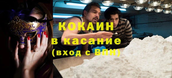индика Туринск