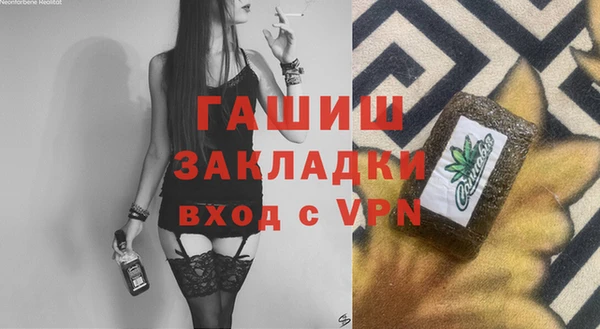 индика Туринск