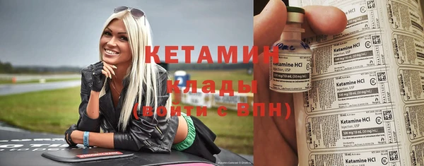 индика Туринск