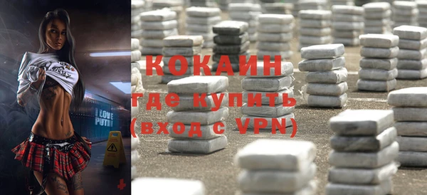 индика Туринск