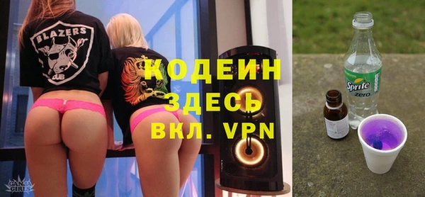 индика Туринск