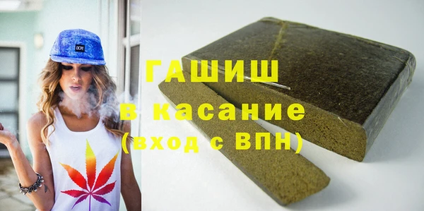 индика Туринск