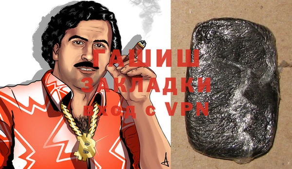 индика Туринск