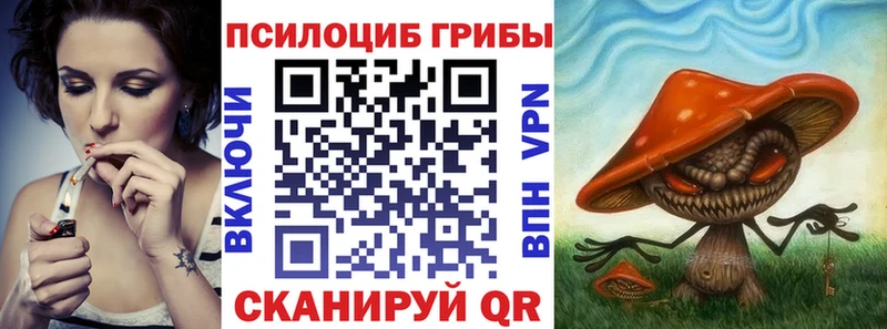 купить наркотики цена  OMG ТОР  Псилоцибиновые грибы Psilocybine cubensis  Юрьевец 